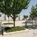 Photo n°5 de l'avis de Stefano.i fait le 30/08/2020 à 19:46 sur le  Orto Ristorante Naturale à Monopoli