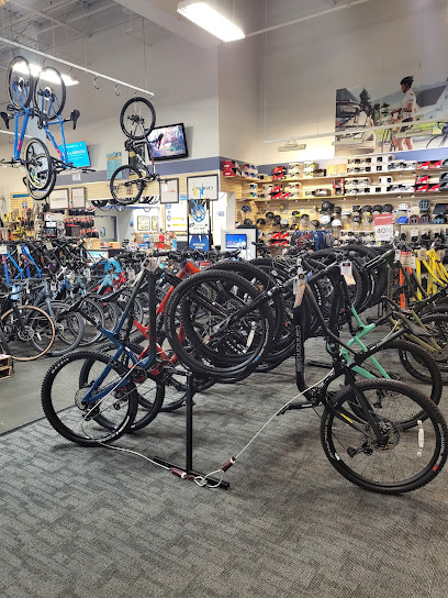 Sun & Ski Sports Bike Shop