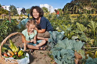 Gemeinschaftsgarten