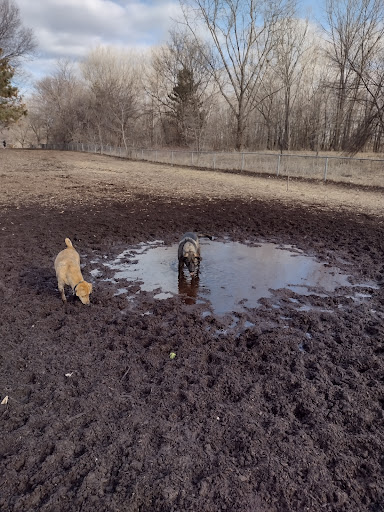 Dog Park «St. Anthony Parkway Off-Lease Dog Park», reviews and photos, 700 St Anthony Pkwy, Minneapolis, MN 55418, USA