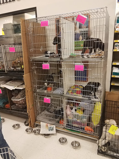 Pet Supply Store «PetSmart», reviews and photos, 3033 NY-50, Saratoga Springs, NY 12866, USA