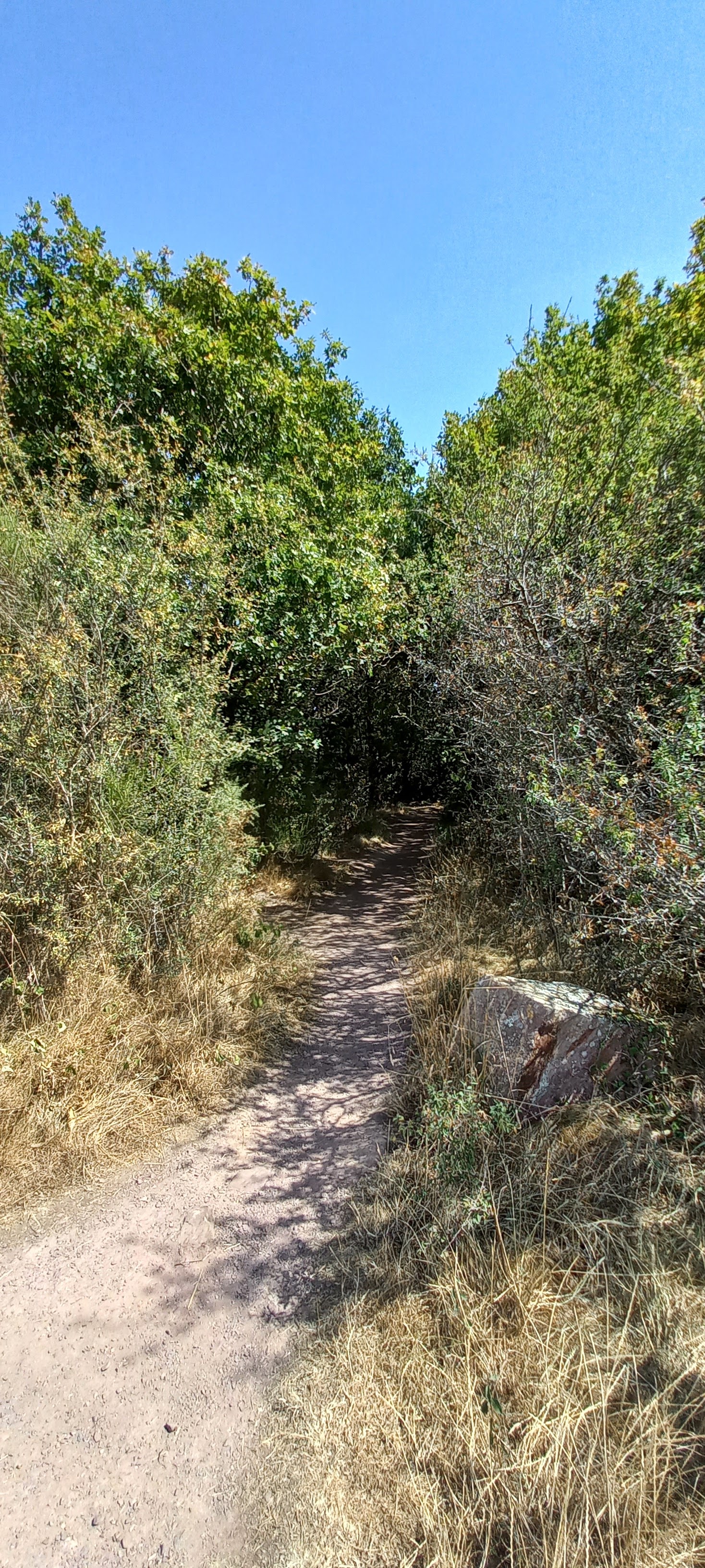 Photo n° 13 de l'avis de Françoise.o fait le 16/07/2022 à 21:19