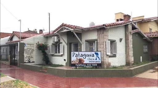 CLINICA VETERINARIA PATAGONIA