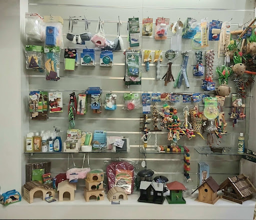 Europiensos Molló - Mollerussa