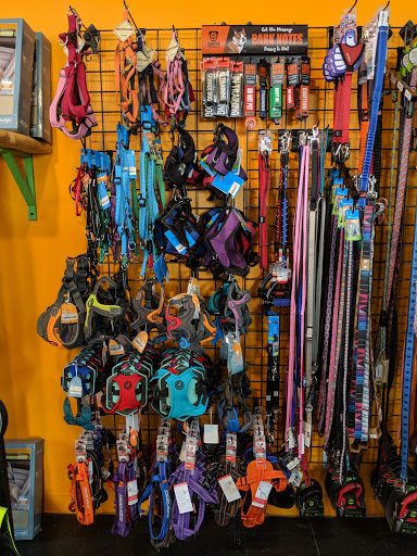 Pet Supply Store «Patton Avenue Pet Company- Downtown», reviews and photos, 109 Patton Ave, Asheville, NC 28801, USA