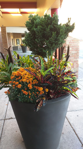 Movie Theater «AMC Dublin Village 18», reviews and photos, 6700 Village Pkwy, Dublin, OH 43017, USA