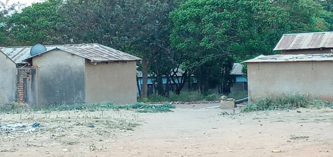Kiwelu Primary school