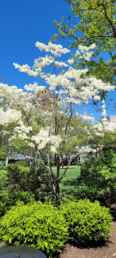 Park «Military Park», reviews and photos, 51 Park Pl, Newark, NJ 07102, USA