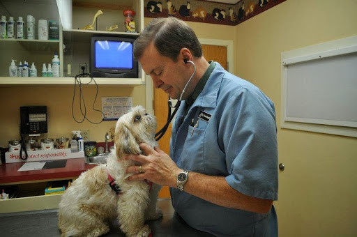 Raymond Animal Hospital image