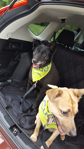 Pet Supply Store «PetSmart», reviews and photos, 8111 Brier Creek Pkwy, Raleigh, NC 27617, USA