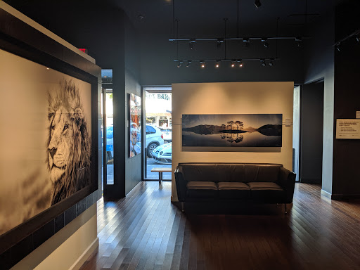 Art Gallery «National Geographic I Fine Art Galleries», reviews and photos, 218 Forest Ave, Laguna Beach, CA 92651, USA