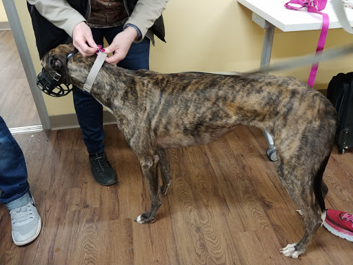 Pet Supply Store «PetPeople», reviews and photos, 3330 Washtenaw Ave, Ann Arbor, MI 48104, USA