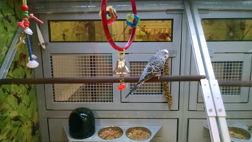 Pet Store «PetSmart», reviews and photos, 267 Berlin Turnpike, Berlin, CT 06037, USA