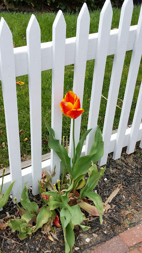 Historical Place Museum «Historic New England Governor John Langdon House», reviews and photos, 143 Pleasant St, Portsmouth, NH 03801, USA