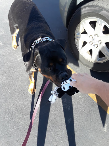 Animal Feed Store «IFA Country Stores», reviews and photos, 1071 Pioneer Rd, Draper, UT 84020, USA