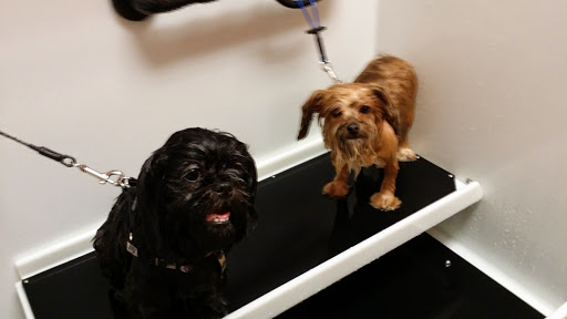 Pet Supply Store «EarthWise Pet», reviews and photos, 4880 Lower Roswell Rd #10, Marietta, GA 30068, USA