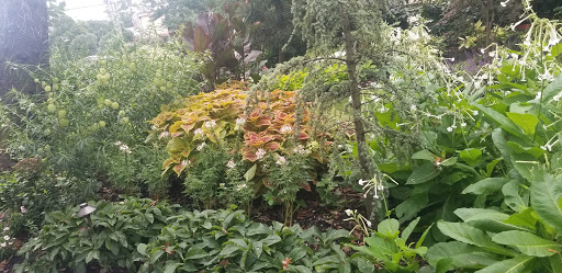 Fine Dining Restaurant «University And Whist Club», reviews and photos, 805 N Broom St, Wilmington, DE 19806, USA