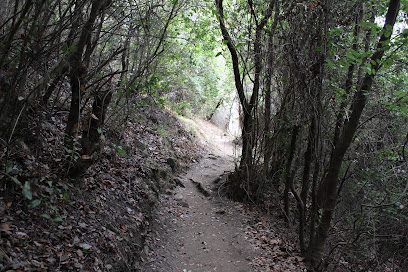 Parque Urbano Quebrada El Tranque