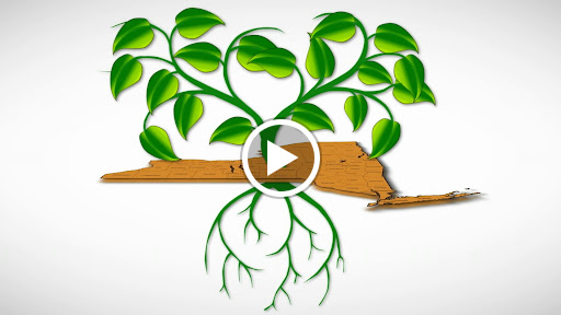 Auto Insurance Agency «Bailey Place Insurance», reviews and photos