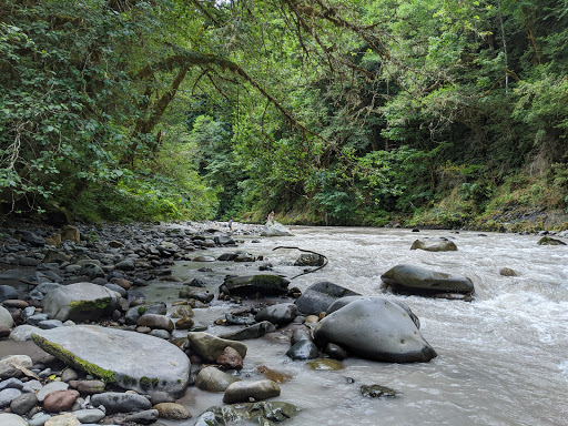 Tourist Attraction «Melmont ghost town», reviews and photos, Carbon River Rd, Carbonado, WA 98323, USA
