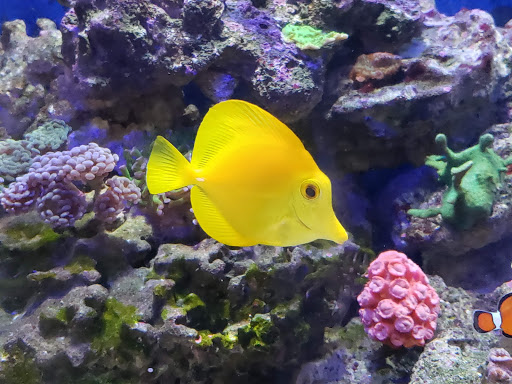 Pet Store «Animart», reviews and photos, 4303 E Towne Way, Madison, WI 53704, USA