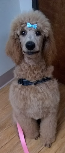 Pet Supply Store «EarthWise Pet Supply - Richardson», reviews and photos, 1310 W Campbell Rd #128, Richardson, TX 75080, USA