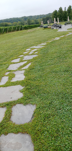 Vineyard «Laurentia Vineyard & Winery», reviews and photos, 4599 S Madison Rd, Madison, OH 44057, USA