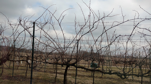 Winery «Staller Estate Winery», reviews and photos, W8896 County Rd A, Delavan, WI 53115, USA