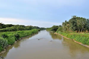 Kinta River image
