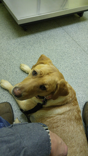 6220 Fairburn Rd, Douglasville, GA 30134, USA