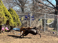 Fido's Bed n Biscuit LLC - Photo 2 - Car repair in Ozark, MO, Springfield