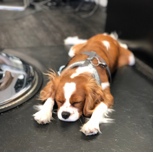 Hair Salon «Hair We Are Salon Virginia Beach», reviews and photos, 829 Lynnhaven Pkwy #108, Virginia Beach, VA 23452, USA