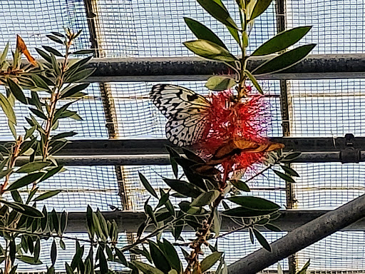 Amusement Center «OdySea in the Desert», reviews and photos, 9500 East Vía de Ventura, Scottsdale, AZ 85256, USA