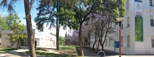 Facultad de Odontología (F.O.) | U.N.C.