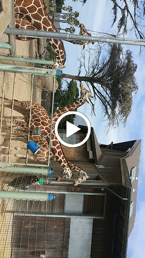 Zoo «San Francisco Zoo», reviews and photos, Sloat Blvd & Great Hwy, San Francisco, CA 94132, USA