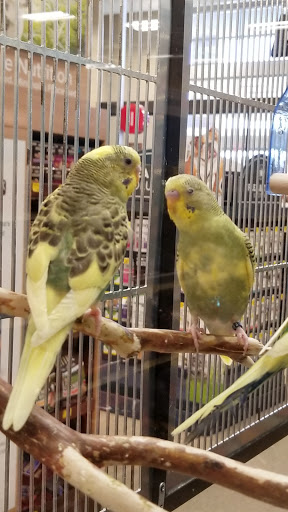 Pet Supply Store «PetSmart», reviews and photos, 7177 SE 29th St, Midwest City, OK 73110, USA