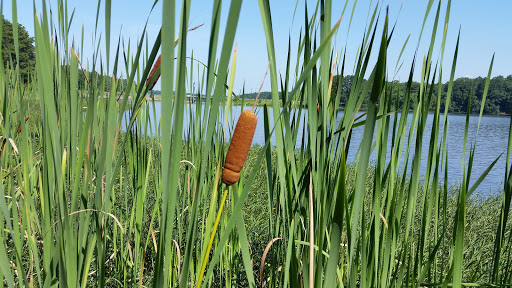 Tourist Attraction «South Shore Park», reviews and photos, 4555 Ragsdale Rd, Acworth, GA 30101, USA