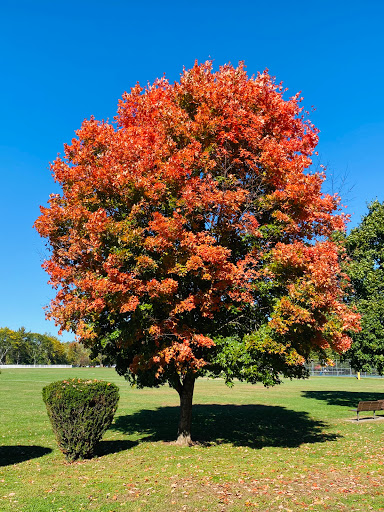 Park «Merrill Park», reviews and photos, Fairview Ave, Colonia, NJ 07067, USA