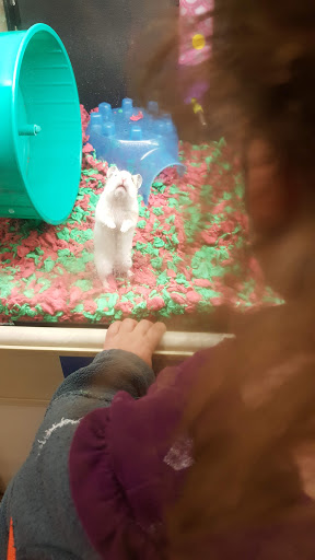 Pet Supply Store «PetSmart», reviews and photos, 17180 Mercantile Blvd, Noblesville, IN 46060, USA