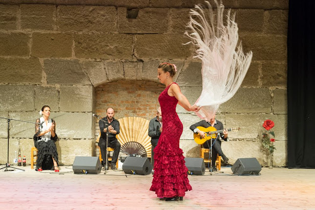 Flamenco Studio Manuela - Bern