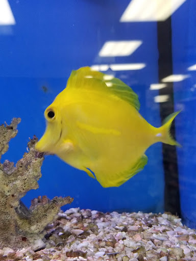 Pet Supply Store «Critter Hut Aquarium & Pets», reviews and photos, 160 Old Tower Hill Rd, Wakefield, RI 02879, USA