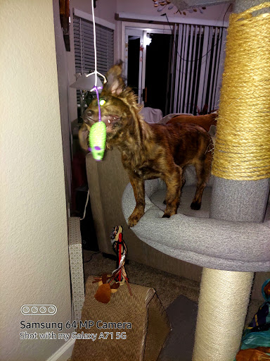 Thrift Store «Goodwill», reviews and photos, 390 Plaza Dr, Folsom, CA 95630, USA