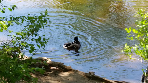 Park «Akin Riverside Park», reviews and photos, 1721 River Ave, Anoka, MN 55303, USA