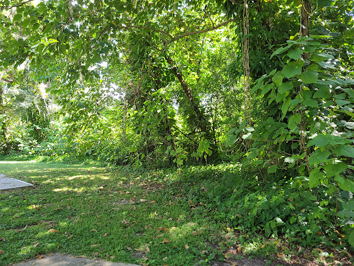 Park «Davis Park», reviews and photos, 612 N Parsons Ave, Brandon, FL 33510, USA