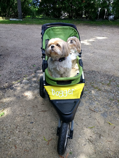 Boutique Hotel «Eleven Gables Inn and Cottage», reviews and photos, 493 Wrigley Dr, Lake Geneva, WI 53147, USA