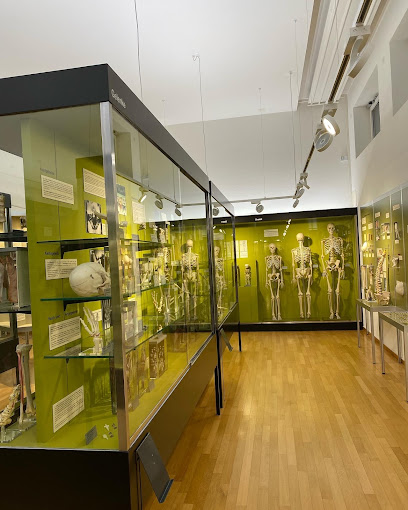 Musée Anatomique Bâle