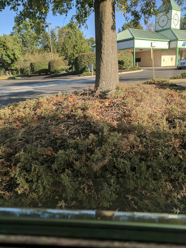 Shopping Mall «Larchmont Commons Shopping Center», reviews and photos, 3103-3117 NJ-38, Mt Laurel, NJ 08054, USA