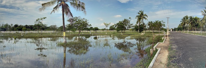 Google Maps image 26