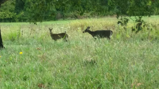Golf Course «Turnberry Golf Course», reviews and photos, 1145 Clubhouse Ln, Pickerington, OH 43147, USA