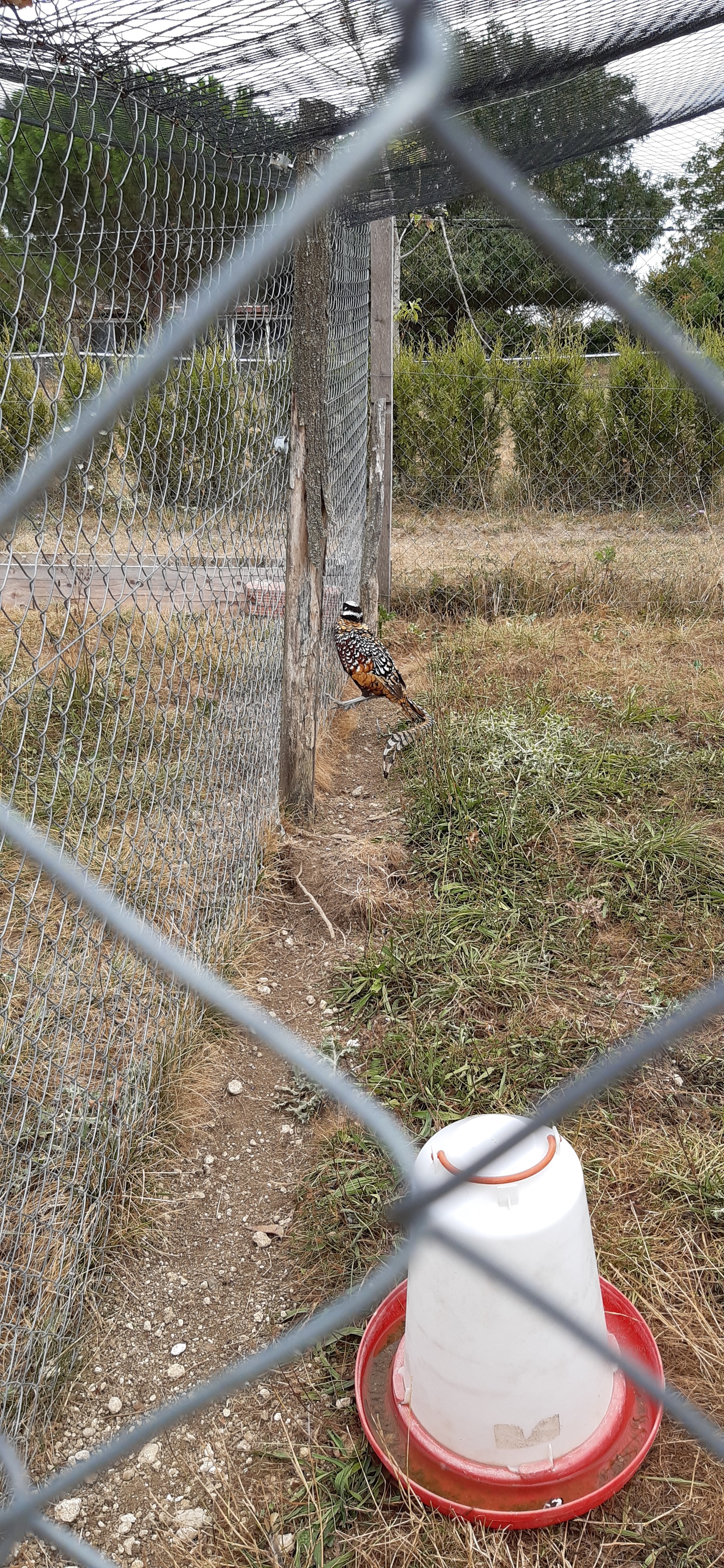 Photo n° 11 de l'avis de Dimitri.u fait le 13/08/2020 à 19:45